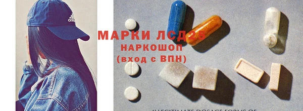 индика Беломорск