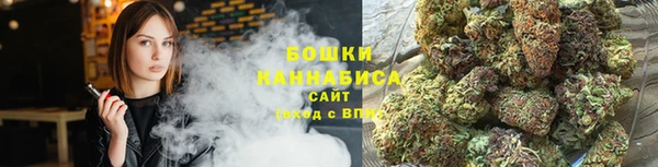 индика Беломорск