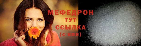 индика Беломорск