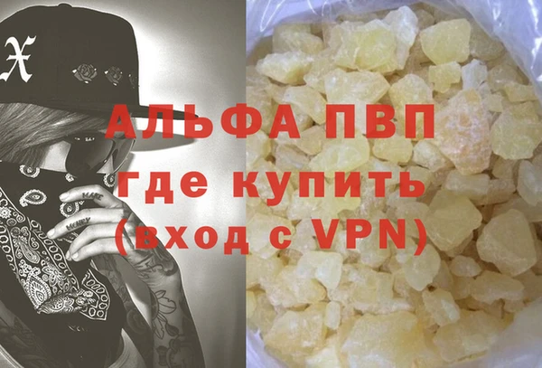 индика Беломорск