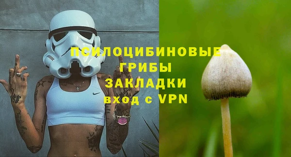 индика Беломорск