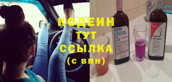 индика Беломорск