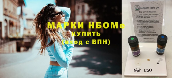 индика Беломорск