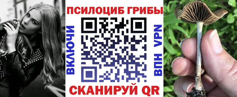 продажа наркотиков Калининец гидра зеркало Галлюциногенные грибы Magic Shrooms