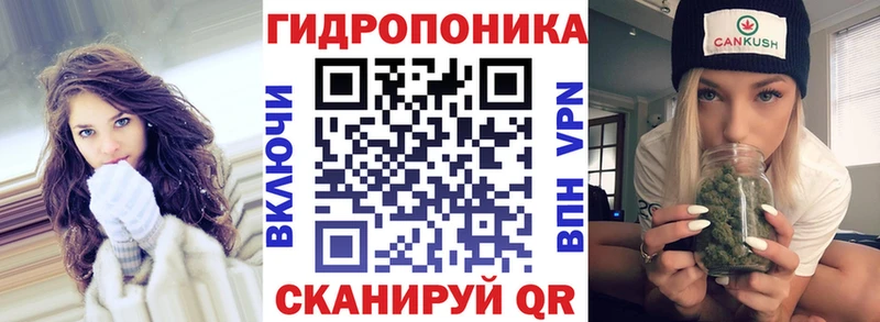 Конопля семена  Калининец 